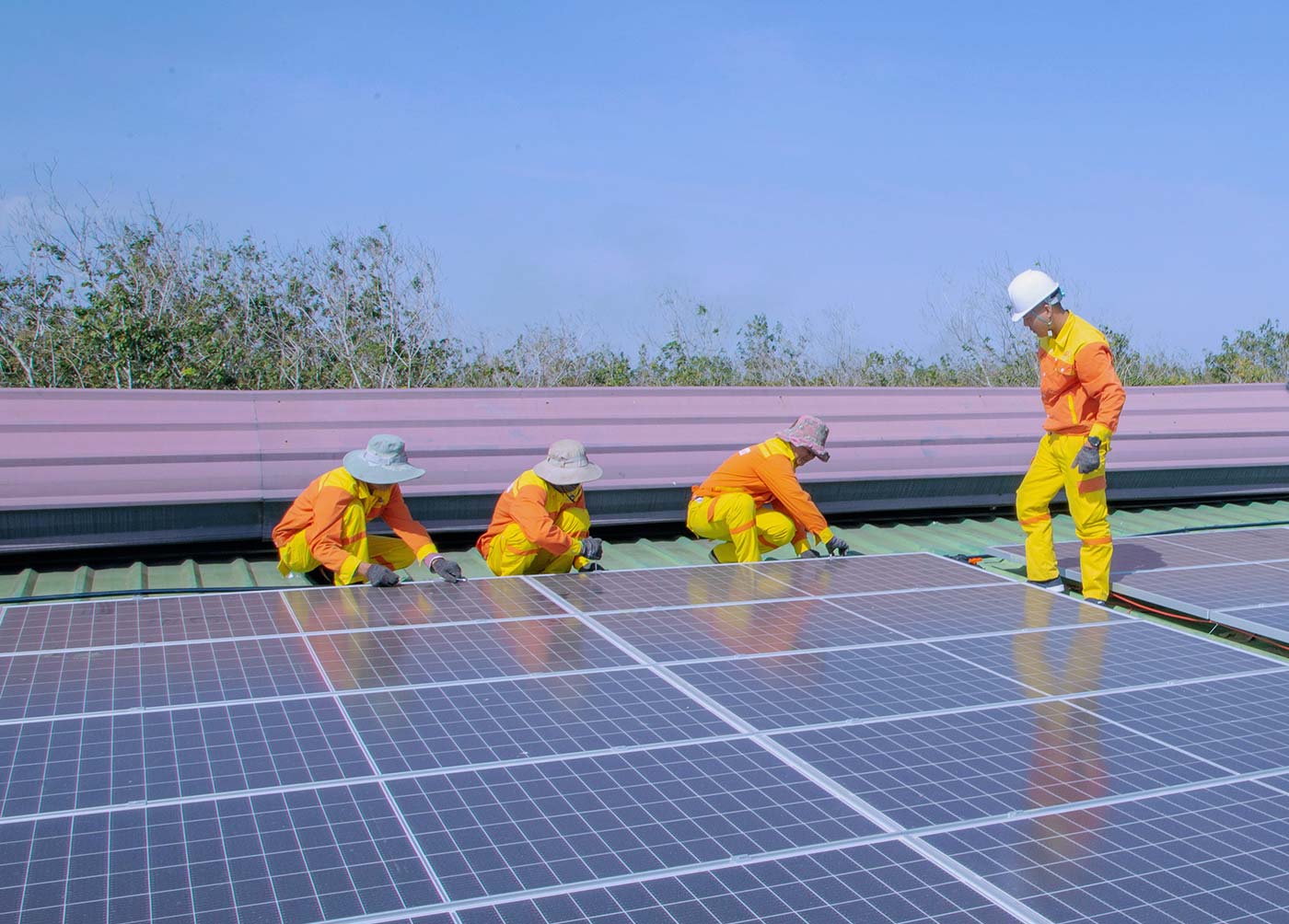 Go Green with Solar Energy Today